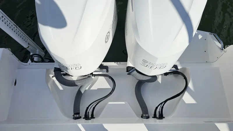 Slide: The Image of Everglades 273CC 2021 - 5854374