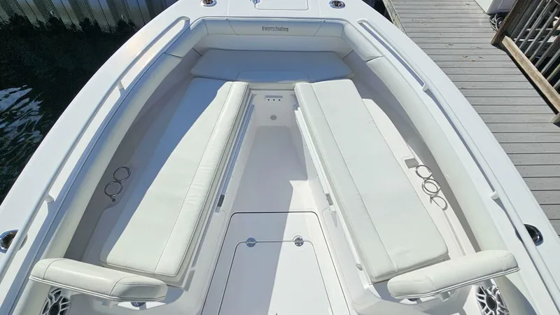 Slide: The Image of Everglades 273CC 2021 - 5854406