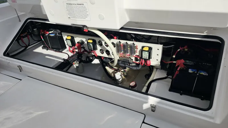 Slide: The Image of Everglades 273CC 2021 - 5854415