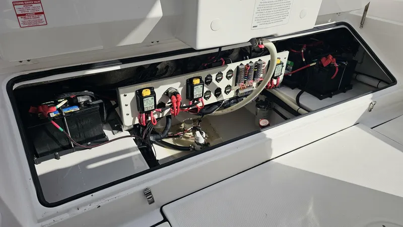 Slide: The Image of Everglades 273CC 2021 - 5854416