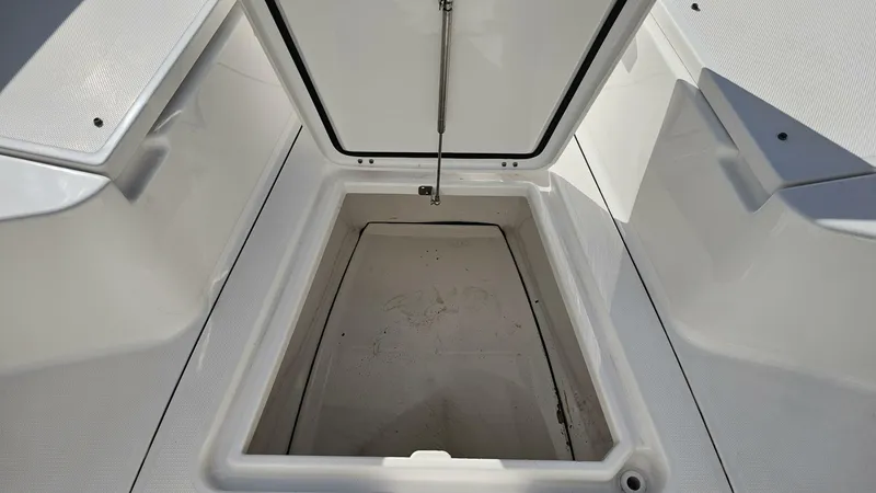 Slide: The Image of Everglades 273CC 2021 - 5854390