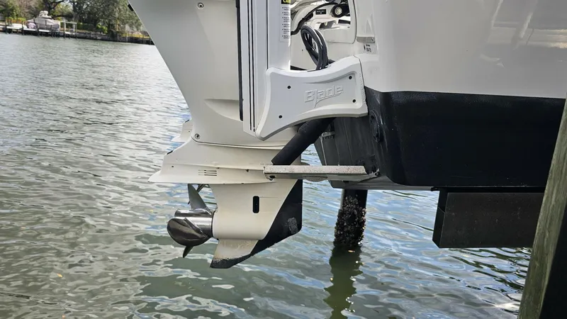 Slide: The Image of Everglades 273CC 2021 - 5854414