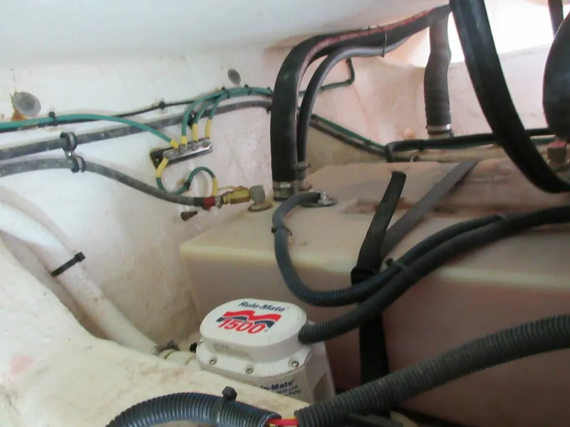 Slide: The Image of Back Cove 34O 2020 - 5853244