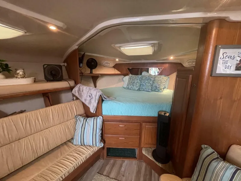 Slide: The Image of Luhrs 36 1997 - 5853516