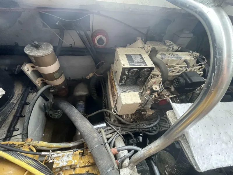 Slide: The Image of Luhrs 36 1997 - 5853550