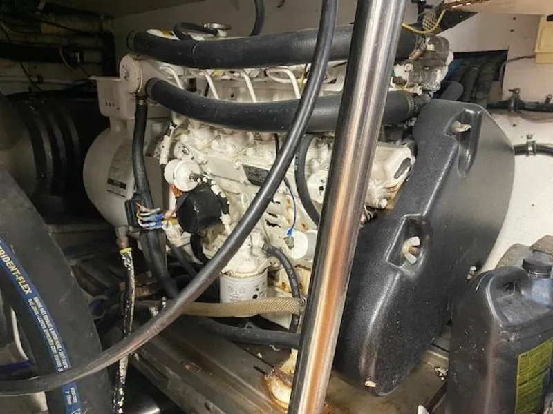 Slide: The Image of Buddy Davis 61 1989 - 5853485