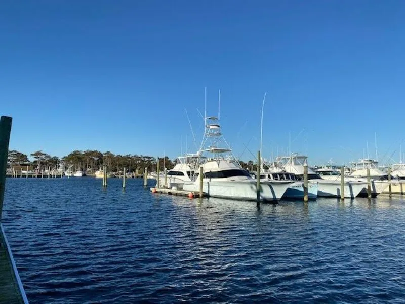 Slide: The Image of Buddy Davis Custom Carolina 1988 - 5853563