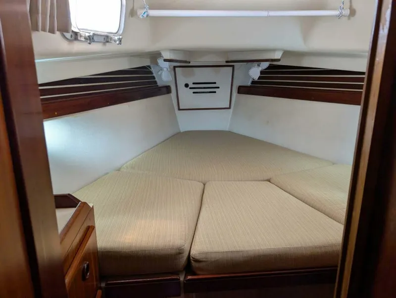 Slide: The Image of Pearson Cutter 1981 - 5854635