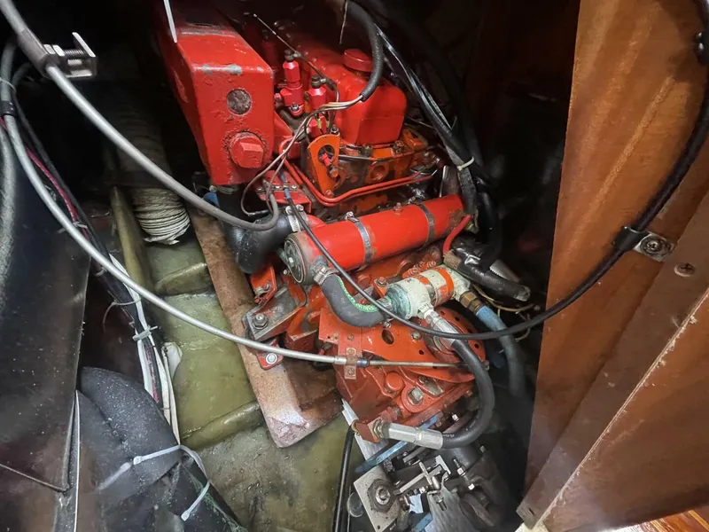 Slide: The Image of Pearson Cutter 1981 - 5854637