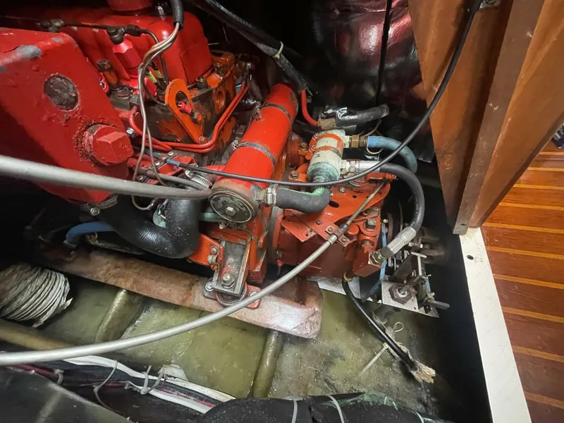 Slide: The Image of Pearson Cutter 1981 - 5854638