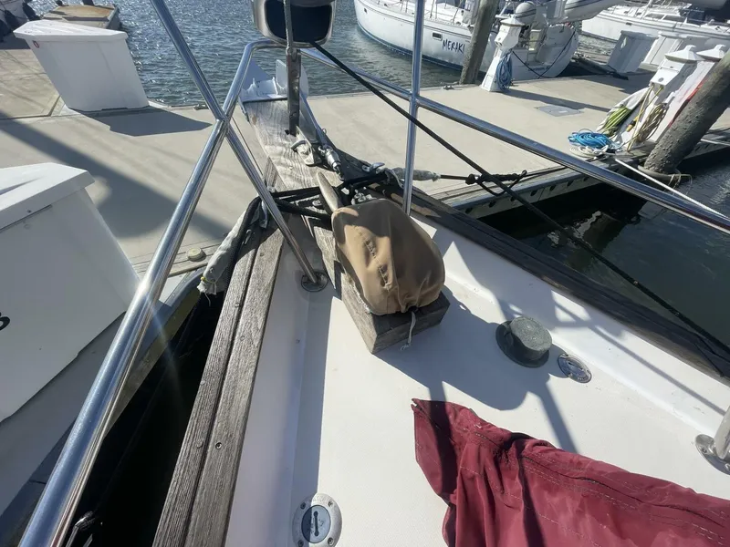 Slide: The Image of Pearson Cutter 1981 - 5854639