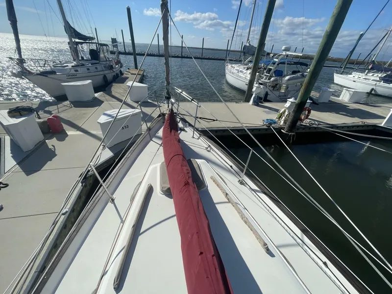 Slide: The Image of Pearson Cutter 1981 - 5854616