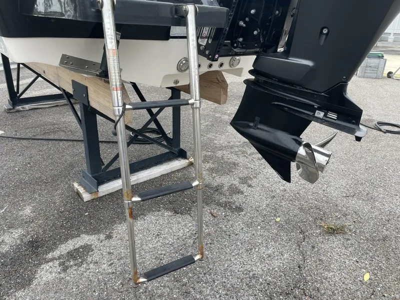 Slide: The Image of Sea Born FX22 2019 - 5855098