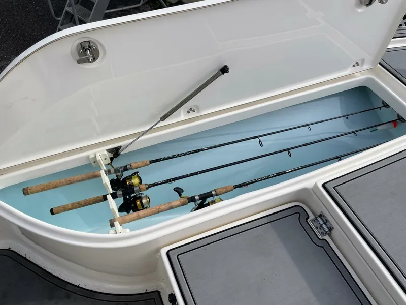 Slide: The Image of Sea Born FX22 2019 - 5855144