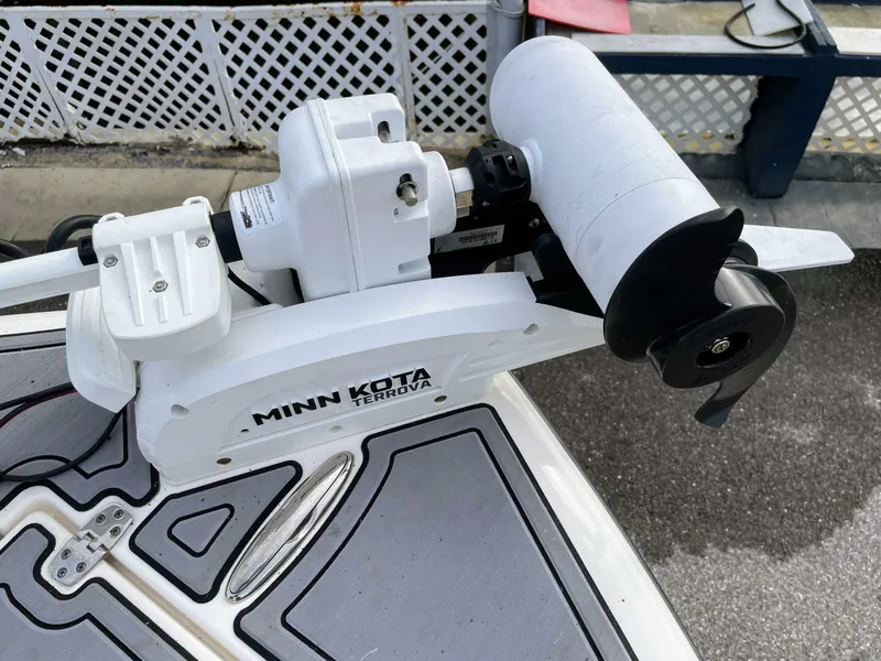 Slide: The Image of Sea Born FX22 2019 - 5855147