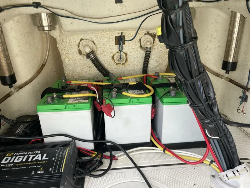 Slide: The Image of Sea Born FX22 2019 - 5855150