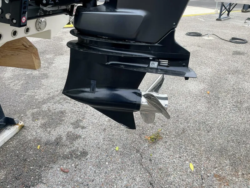 Slide: The Image of Sea Born FX22 2019 - 5855092