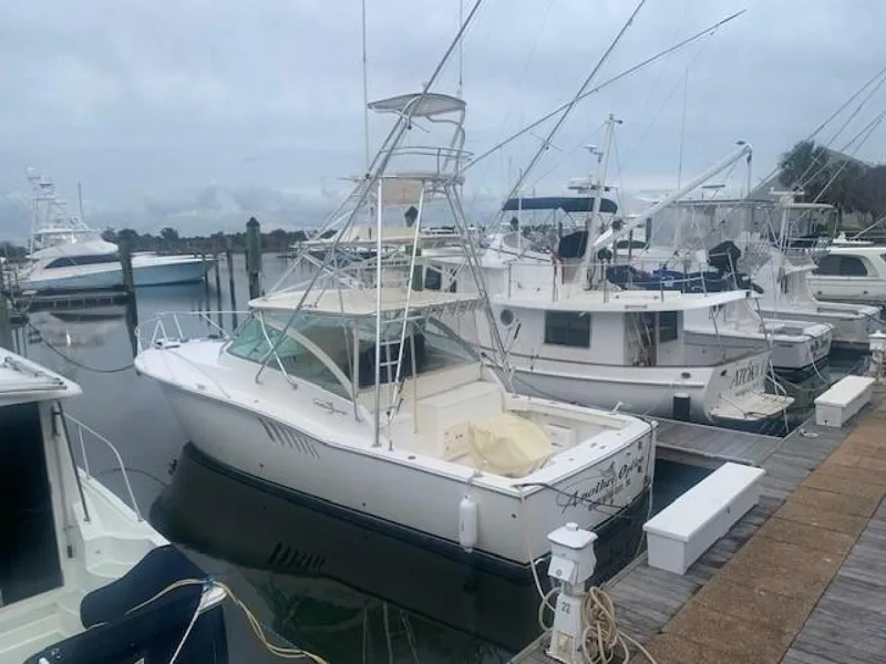 Slide: The Image of 0005501454 - 5855263