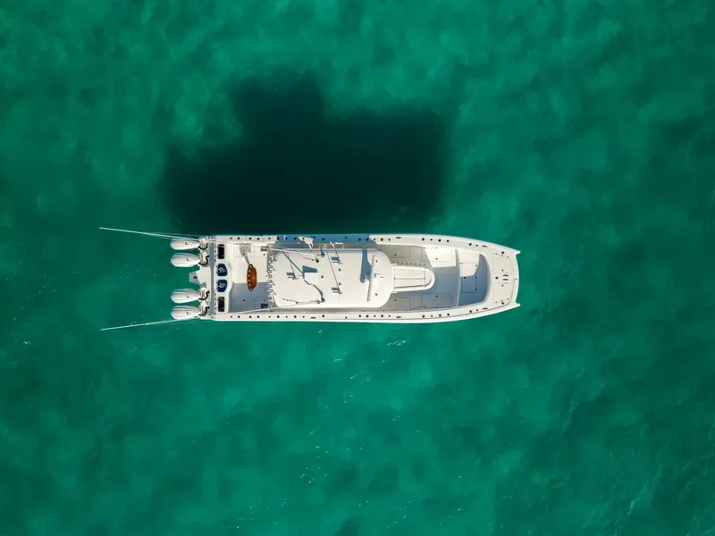 Slide: The Image of 2024 Freeman 45- Just Looking - 5855188