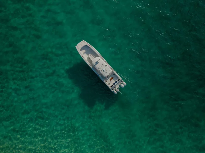 Slide: The Image of 2024 Freeman 45- Just Looking - 5855198