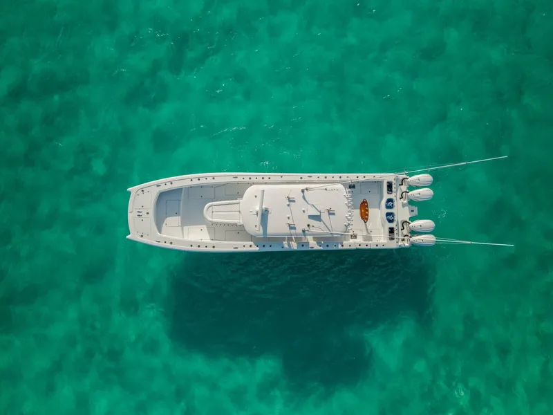 Slide: The Image of 2024 Freeman 45- Just Looking - 5855199