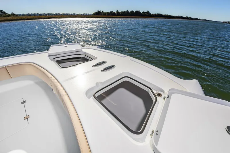 Slide: The Image of 38Freeman2025_017 - 5856508