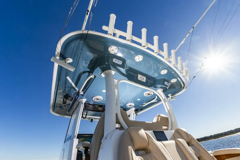 Slide: The Image of 38Freeman2025_032 - 5856489