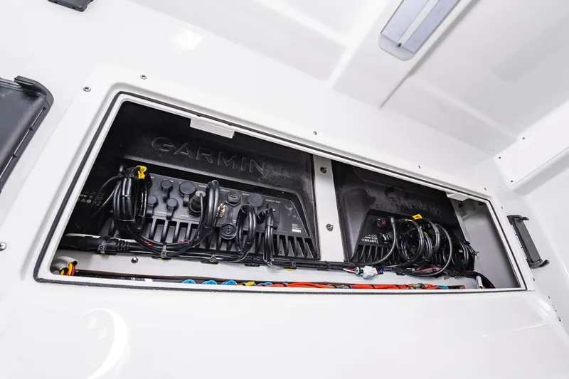 Slide: The Image of 38Freeman2025_036 - 5856493