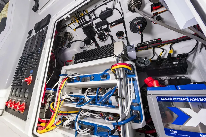 Slide: The Image of 38Freeman2025_039 - 5856496