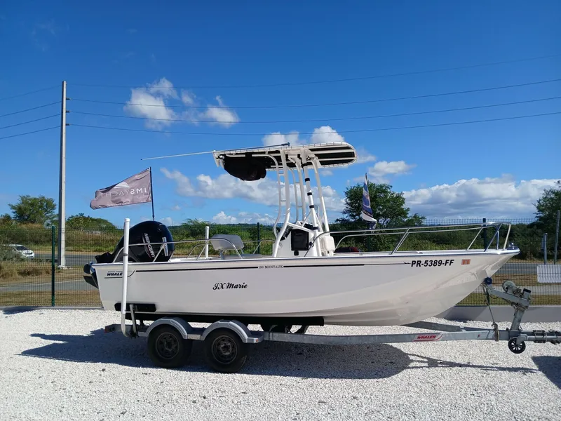 The Image of Boston Whaler Mountauk 2022 - 5858015