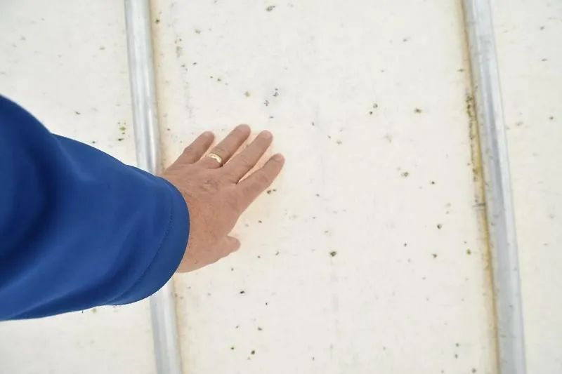 Slide: The Image of 0005502856 - 5859322