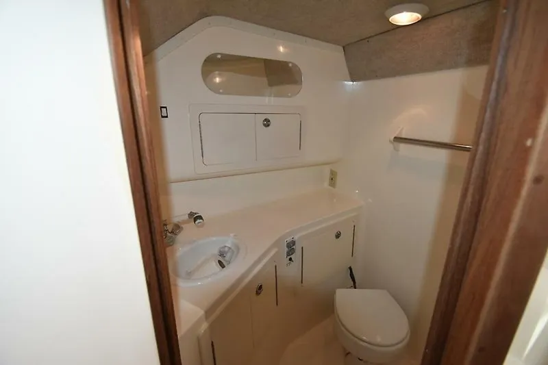 Slide: The Image of 0005502896 - 5859356