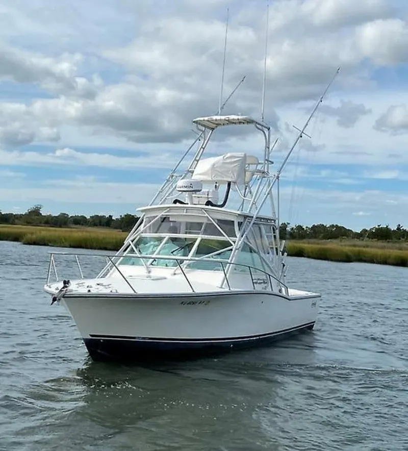 Slide: The Image of 0005443353 - 5859365