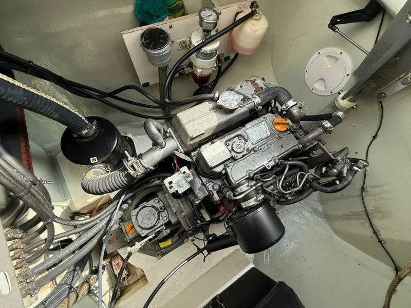 Slide: The Image of Leopard 39 2012 - 5859977