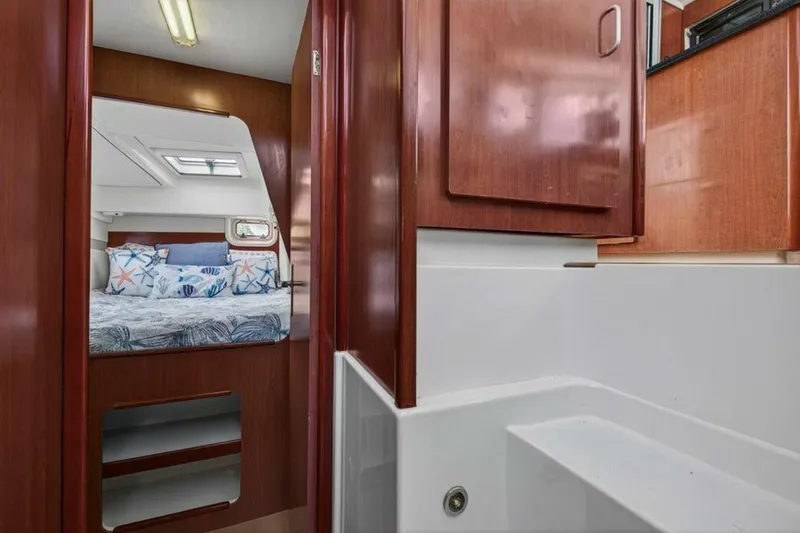 Slide: The Image of Leopard 38 2011 - 5860065