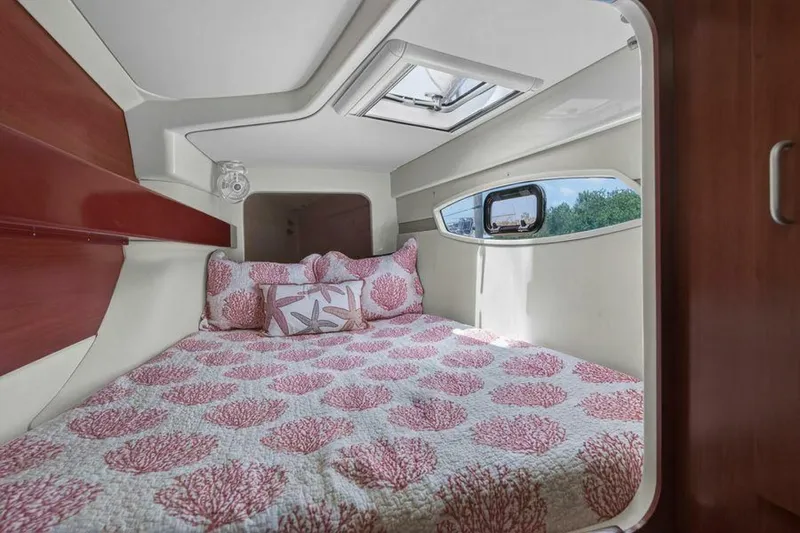 Slide: The Image of Leopard 38 2011 - 5860070