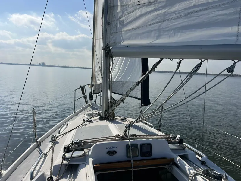 Slide: The Image of Hunter 280 1996 - 5902118