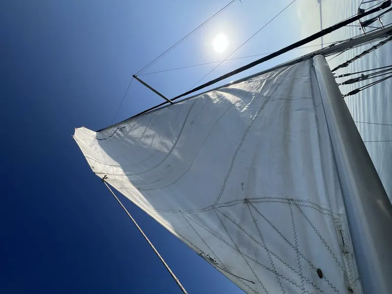 Slide: The Image of Hunter 280 1996 - 5902188