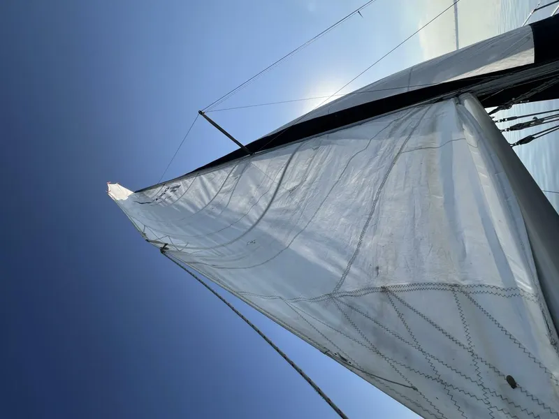 Slide: The Image of Hunter 280 1996 - 5902221