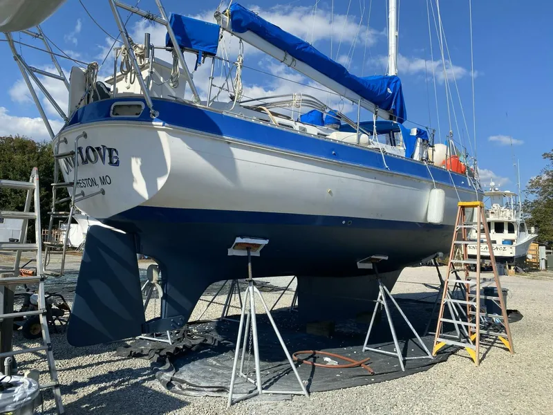 Slide: The Image of Morgan 41 Out Island Classic 1987 - 5863208