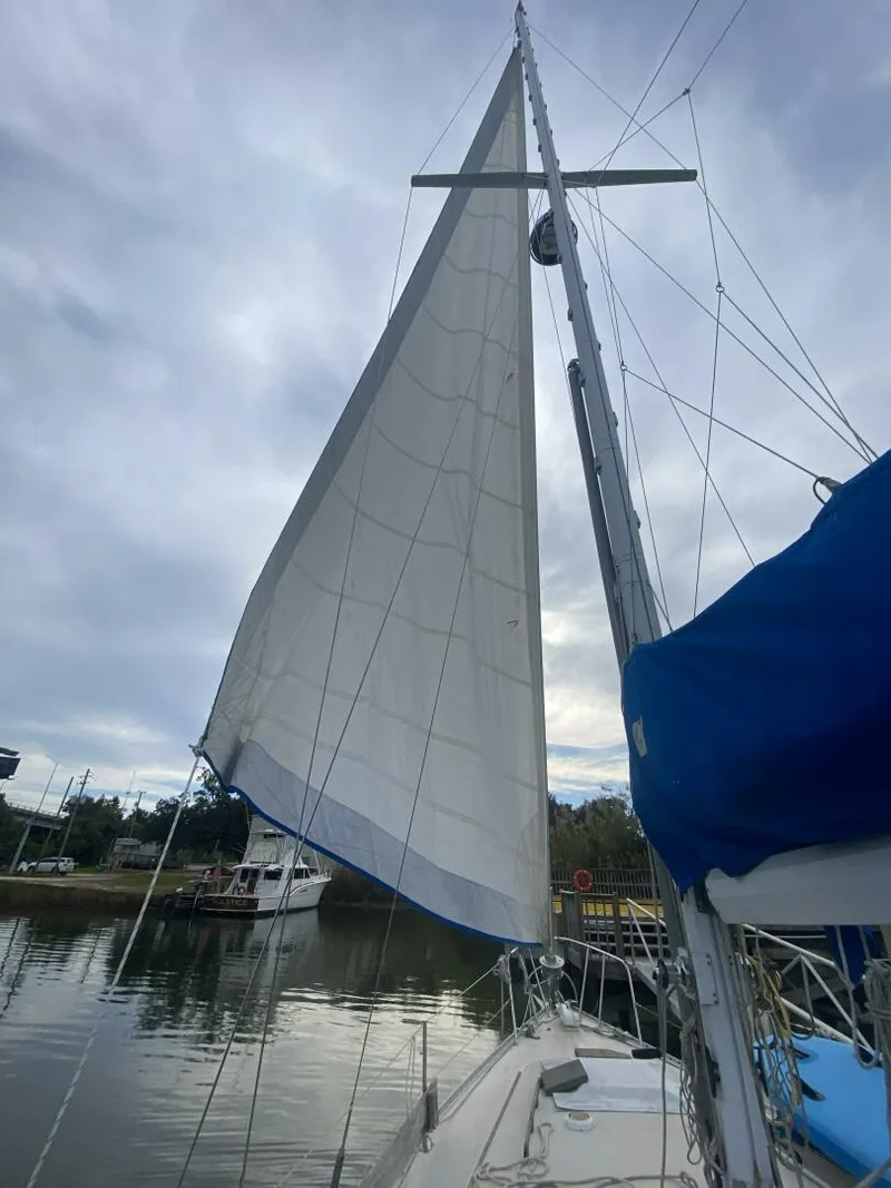 Slide: The Image of Morgan 41 Out Island Classic 1987 - 5863212