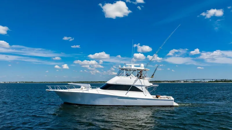 The Image of Viking 56 2006 - 5860837