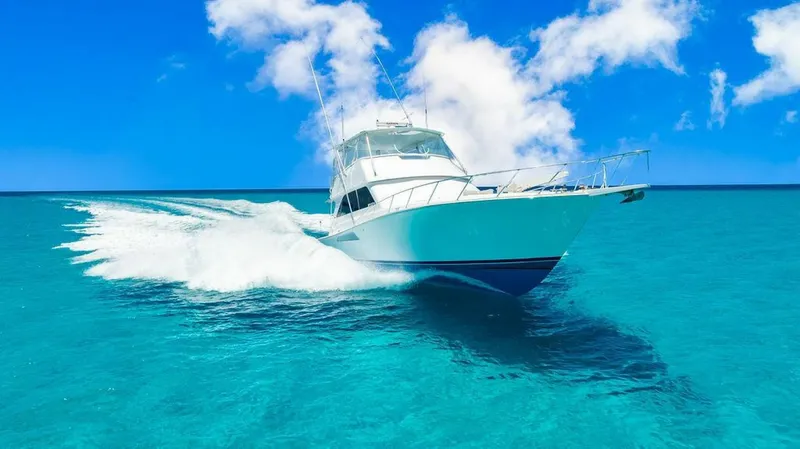 Slide: The Image of Viking 55 1999 - 5861267