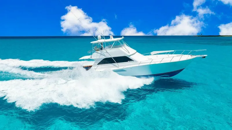 Slide: The Image of Viking 55 1999 - 5861272