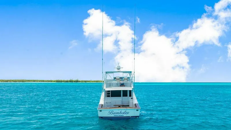 Slide: The Image of Viking 55 Convertible 1999 - 5861214