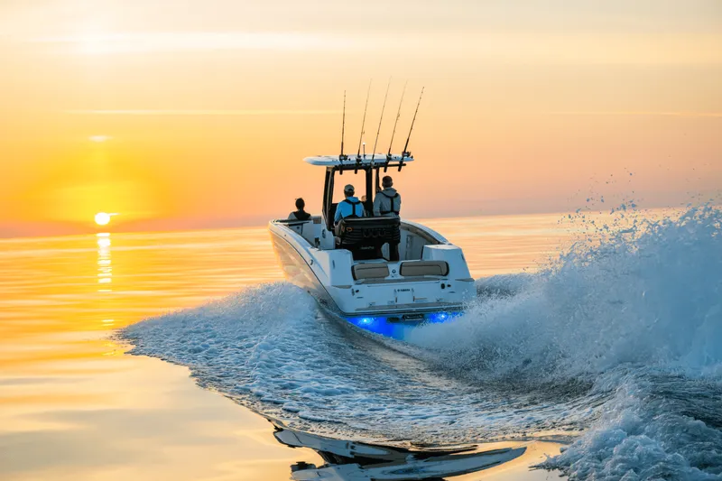 Slide: The Image of Yamaha 255 FSH Sport H 2025 - 2