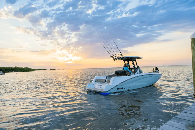 Slide: The Image of Yamaha 255 FSH Sport H 2025 - 40