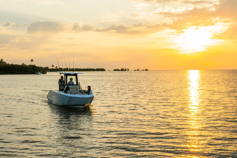 Slide: The Image of Yamaha 255 FSH Sport H 2025 - 43