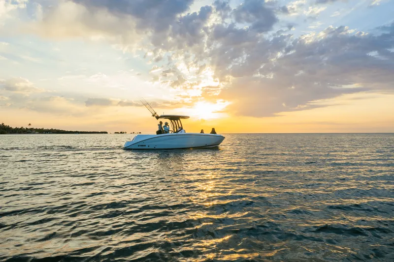 Slide: The Image of Yamaha 255 FSH Sport H 2025 - 44