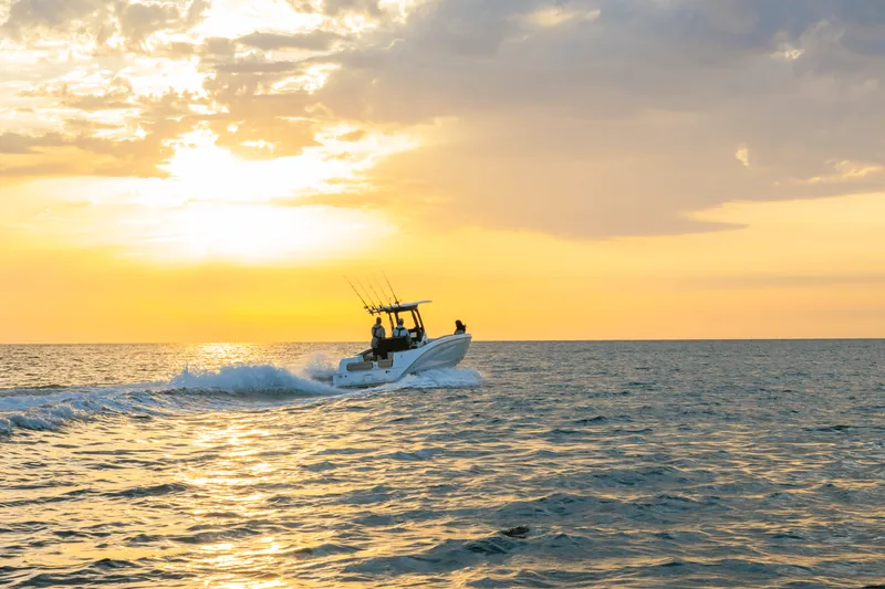 Slide: The Image of Yamaha 255 FSH Sport H 2025 - 45